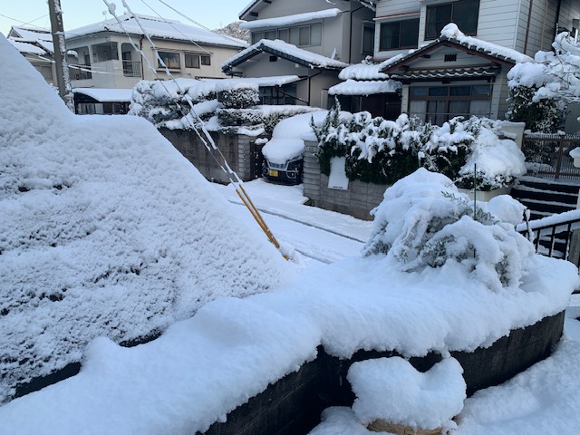 2026年1月3日　初積雪